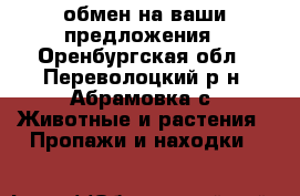 обмен на ваши предложения - Оренбургская обл., Переволоцкий р-н, Абрамовка с. Животные и растения » Пропажи и находки   
